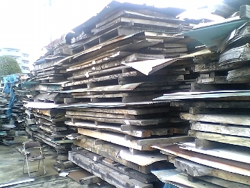 乾燥させた木 乾燥させた木